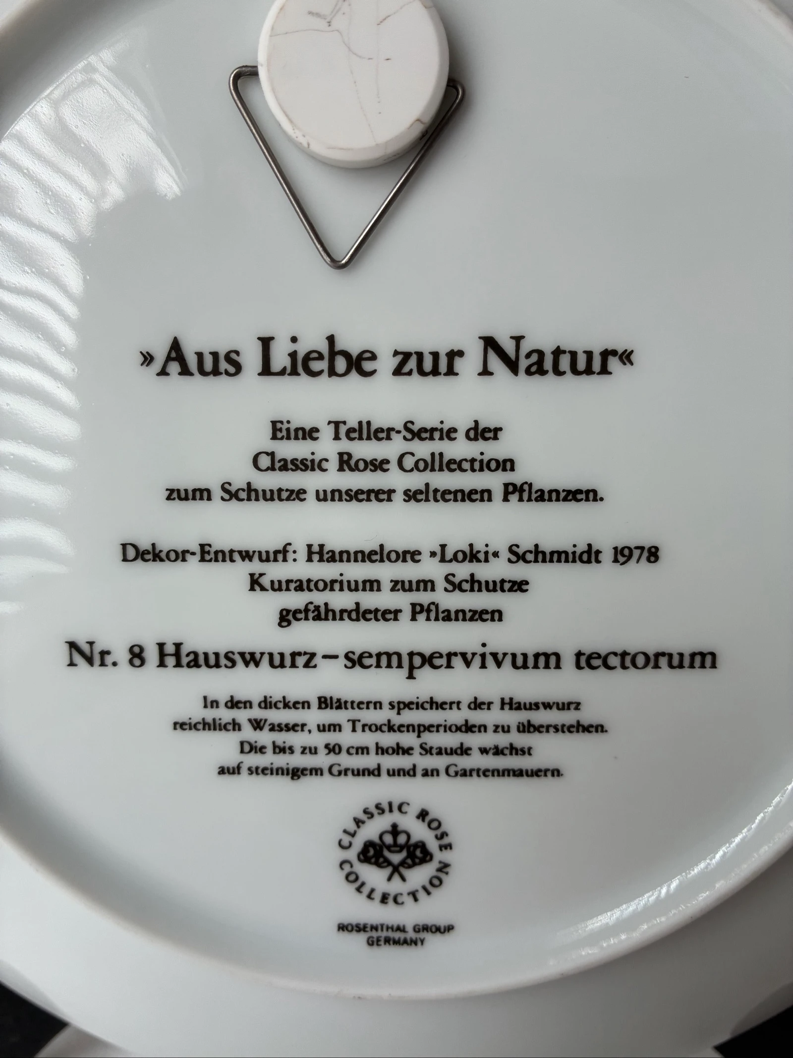 Rosenthal Wandbord Nr. 8 Hauswurz - Aus Liebe zur Natur – photo 4